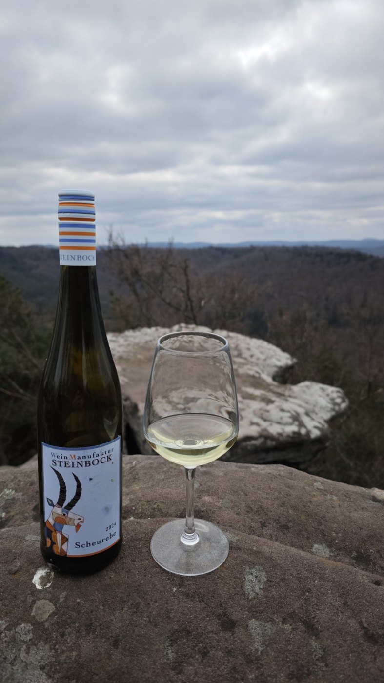 Wein und Flasche auf einem Aussichtspunkt